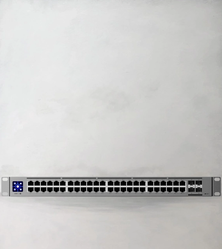 professional-usw-pro-48-poe-distributor-riyadh-saudi-arabia
